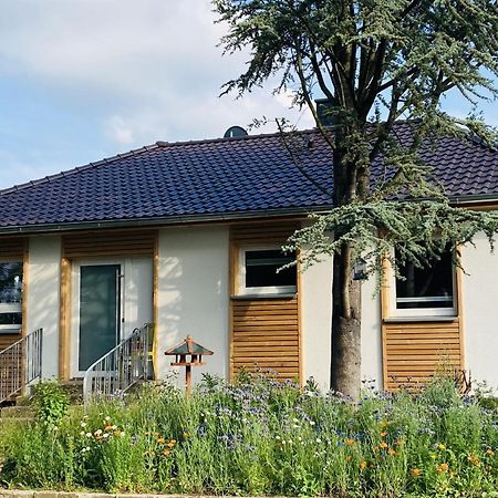 Ferienhaus Urwald Hofgeismar Exteriér fotografie
