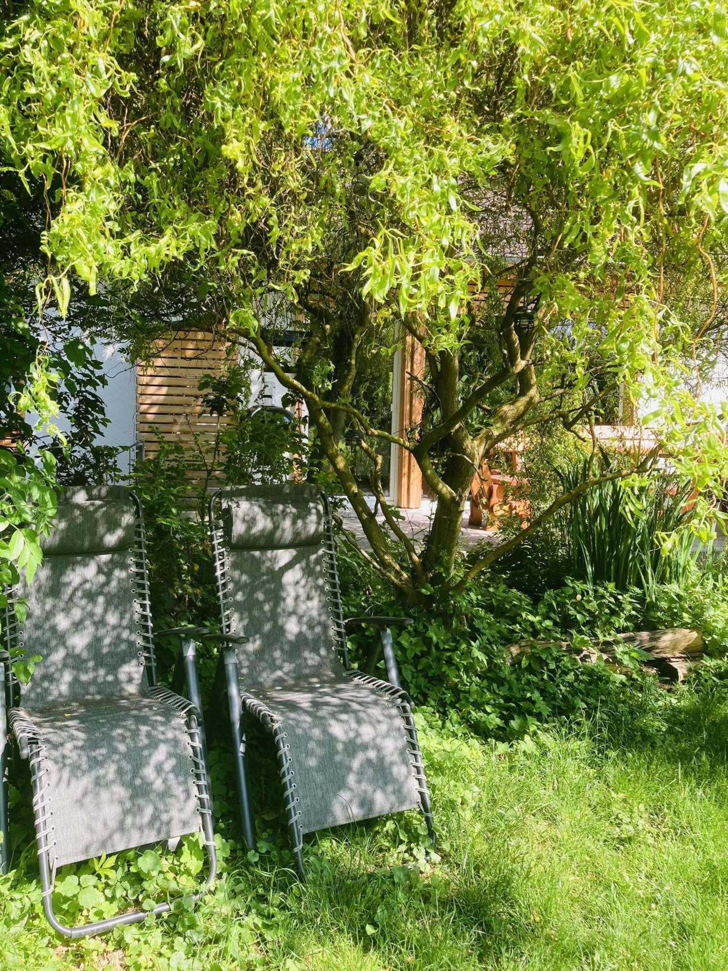 Ferienhaus Urwald Hofgeismar Exteriér fotografie