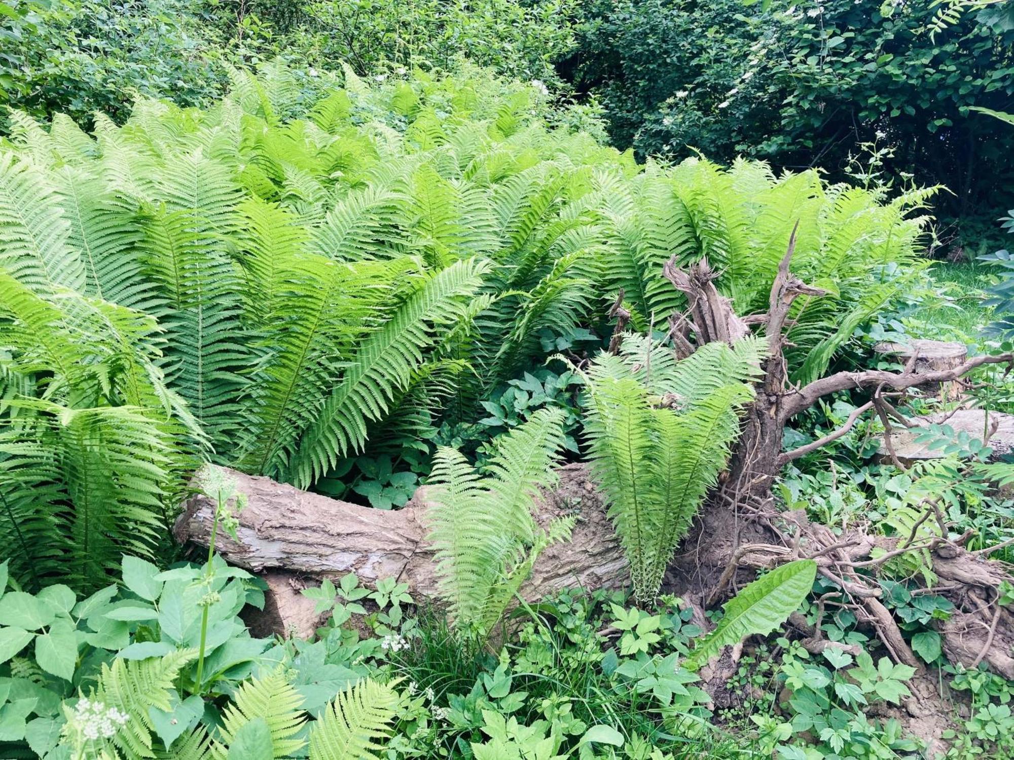 Ferienhaus Urwald Hofgeismar Exteriér fotografie